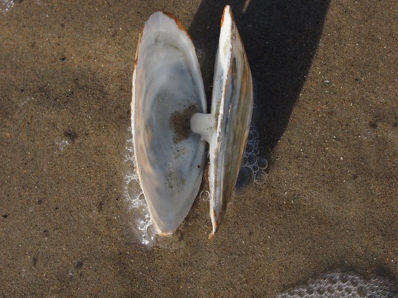 2013-05-05 09-20-04 Mary.JPG